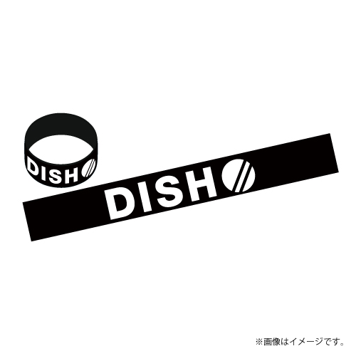DISH// ’25 Summer Rubber Band