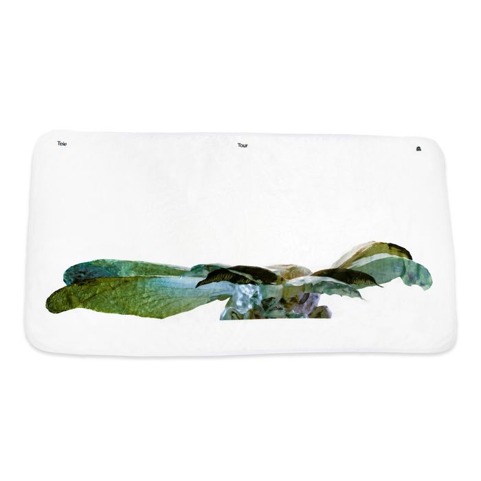 蟲 ブランケット