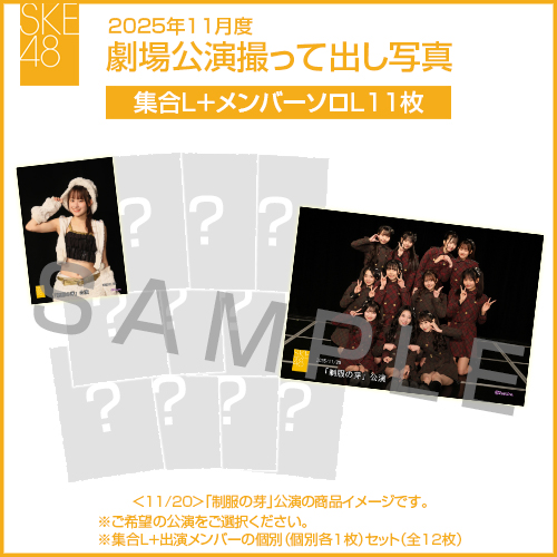 2025年11月度 劇場公演撮って出し写真 【11名公演】ソロ写真セット（集合L＋メンバーソロL11枚）