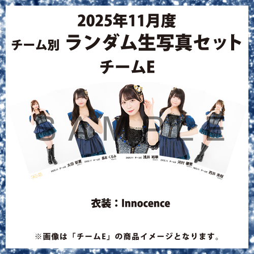 2025年11月度 チーム別ランダム生写真セット(チームE)