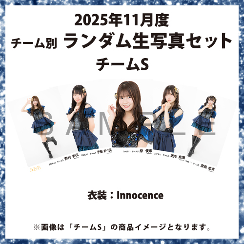 2025年11月度 チーム別ランダム生写真セット(チームS)
