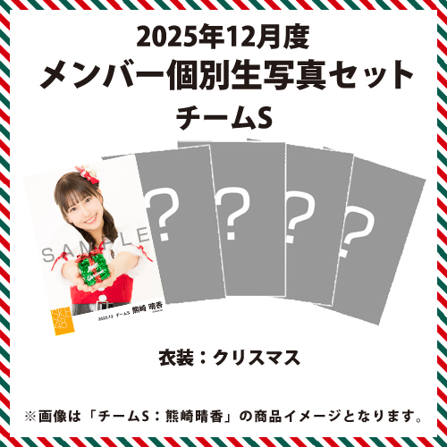 2025年12月度 メンバー個別生写真セット チームS
