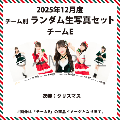 2025年12月度 チーム別ランダム生写真セット(チームE)