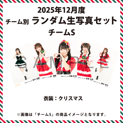 2025年12月度 チーム別ランダム生写真セット(チームS)