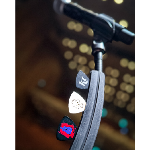 blue eggplant fieldピックセット(3種)