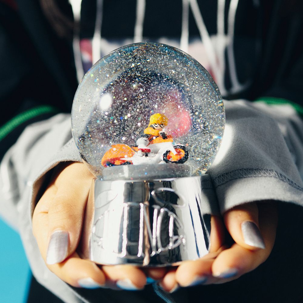 Snow Globe "SILENCE"