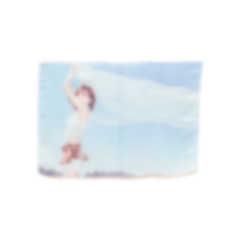 【WENDY】CHIFFON FABRIC POSTER