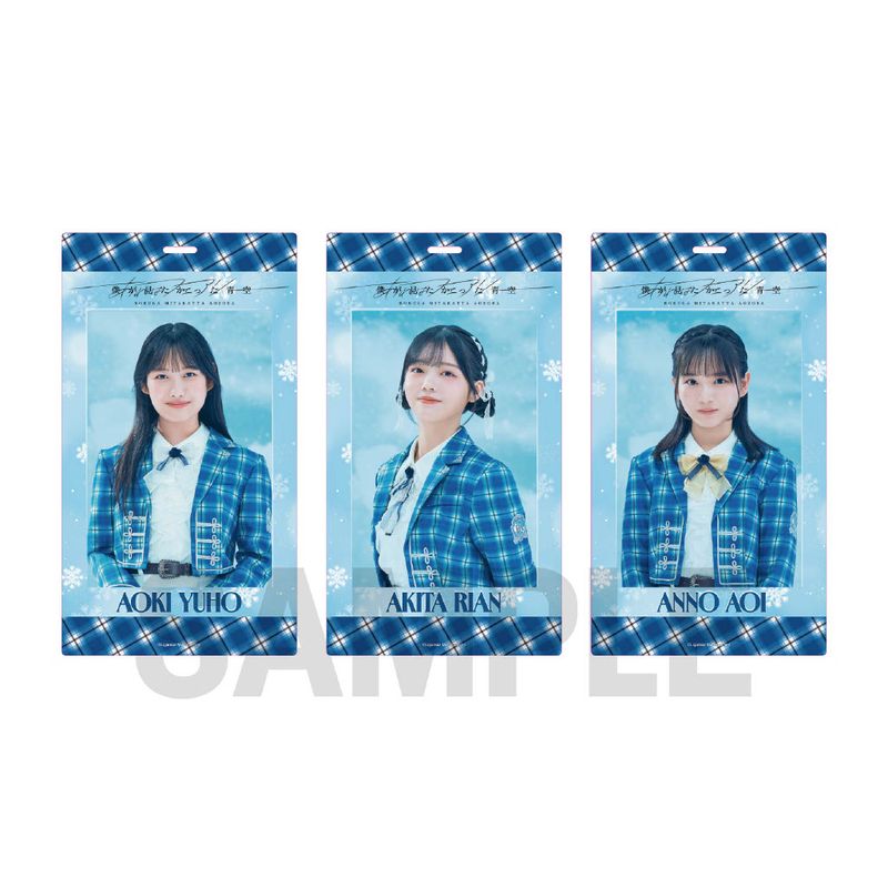 【通常配送】「あれはフェアリー」個別チケットホルダー