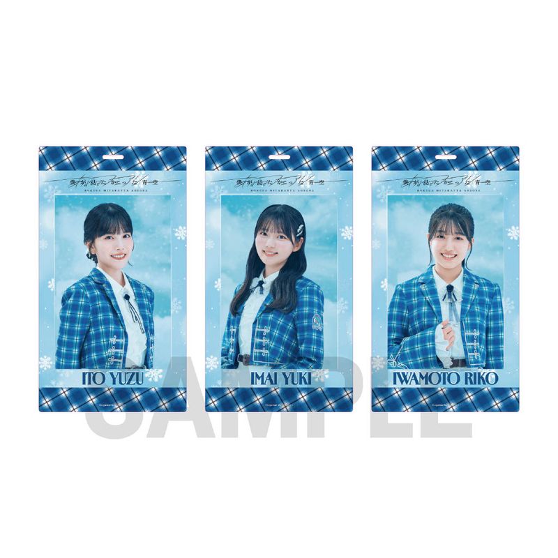 【通常配送】「あれはフェアリー」個別チケットホルダー