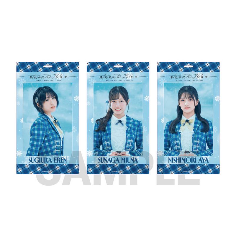 【通常配送】「あれはフェアリー」個別チケットホルダー