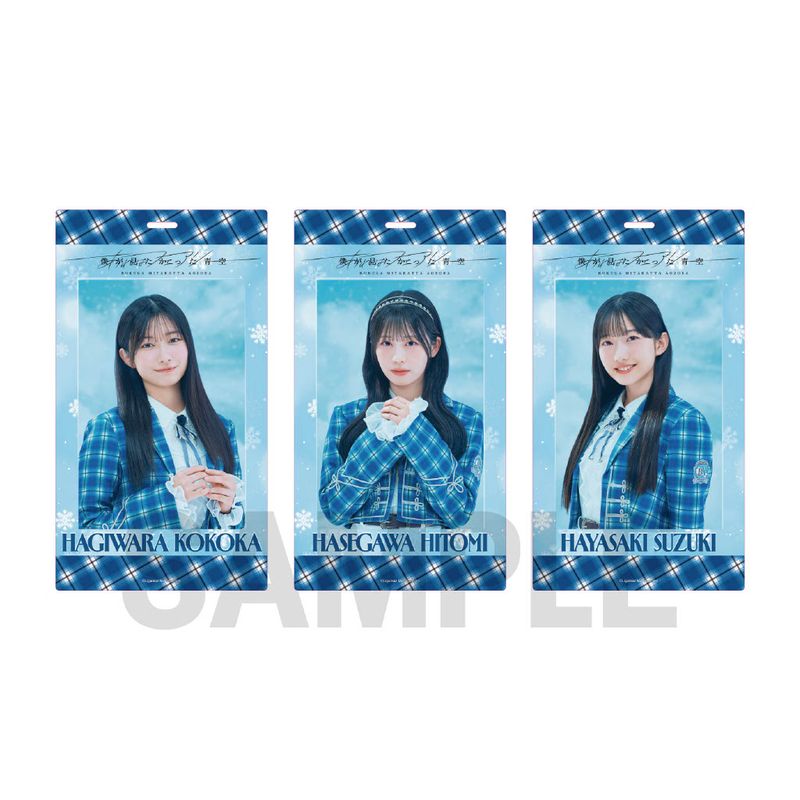 【通常配送】「あれはフェアリー」個別チケットホルダー