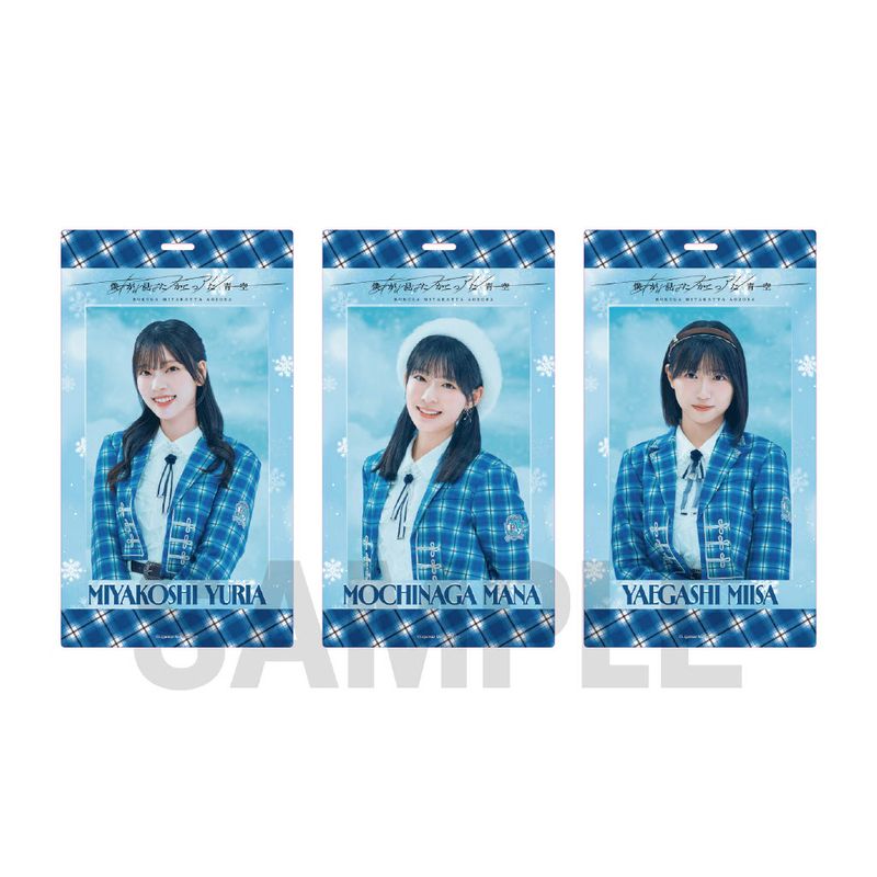 【通常配送】「あれはフェアリー」個別チケットホルダー