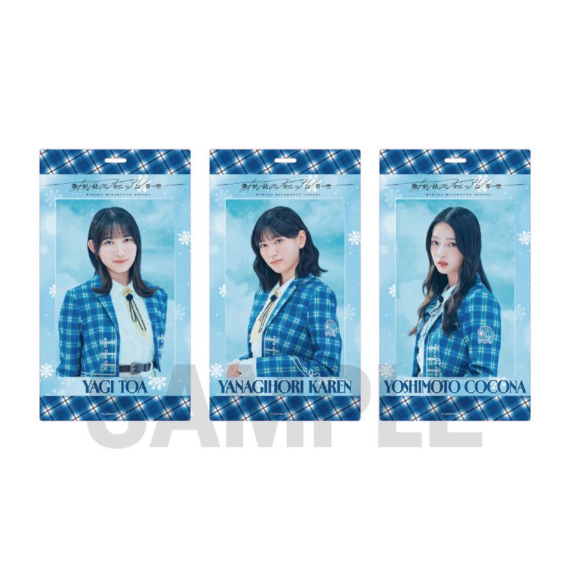 【通常配送】「あれはフェアリー」個別チケットホルダー