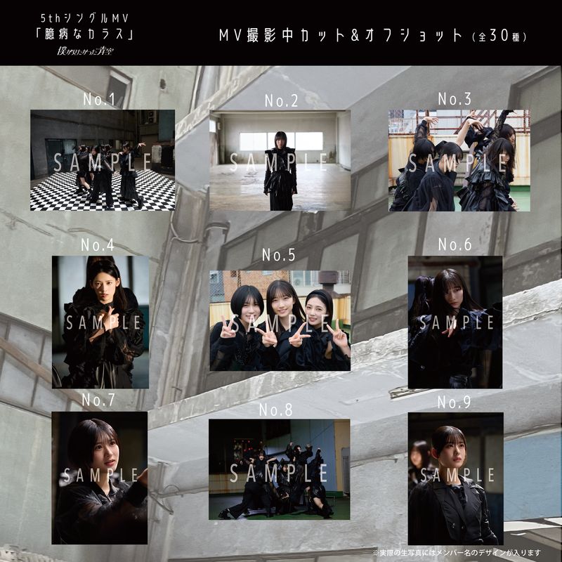 【通常配送】7月ランダム生写真(5枚1セット)【5thシングルMV「臆病なカラス」】