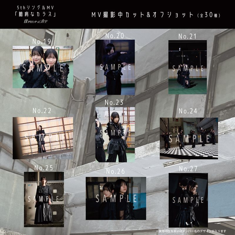【通常配送】7月ランダム生写真(5枚1セット)【5thシングルMV「臆病なカラス」】