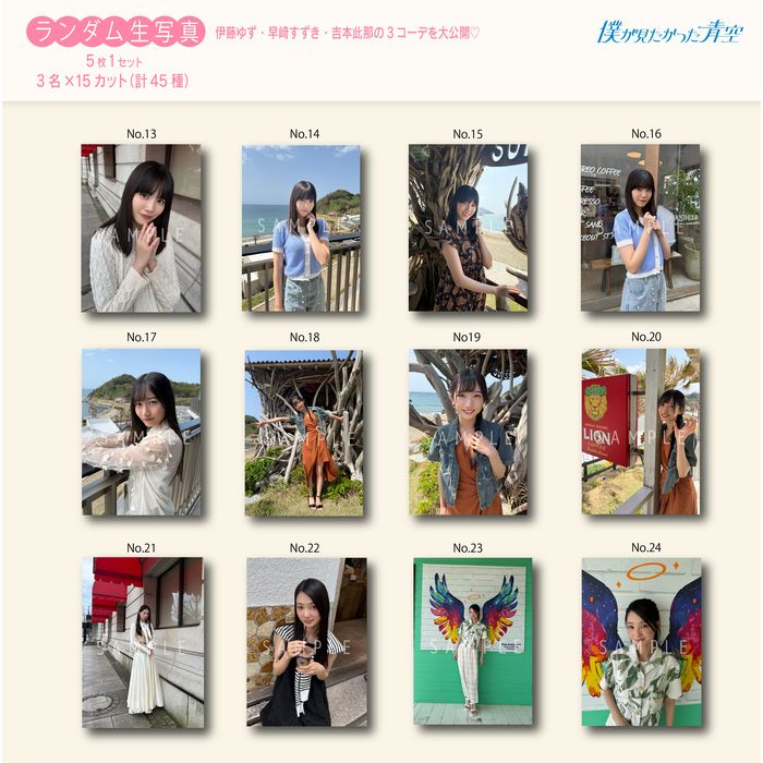 【通常配送】1月ランダム生写真(5枚1セット)【ブルシス#4】