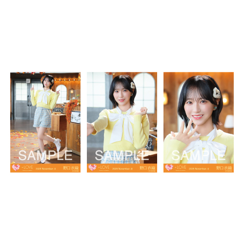 生写真セット （19thcw「木漏れ日メゾフォルテ」）