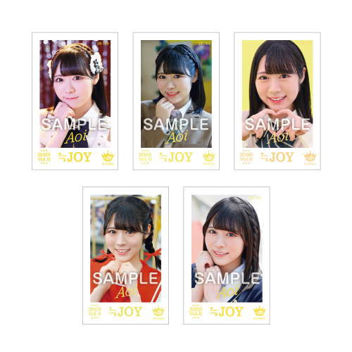 ≒JOY ミニフォトカード Vol.6