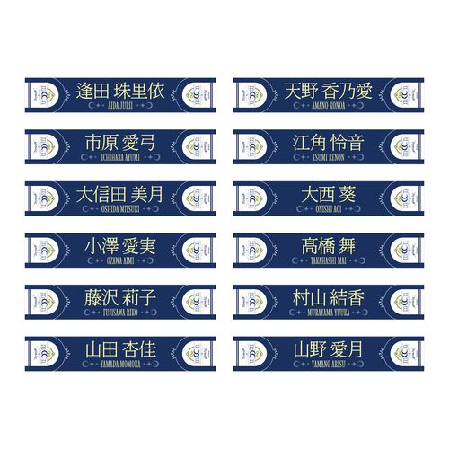 ≒JOY 全国ツアー2025 個別マフラータオル