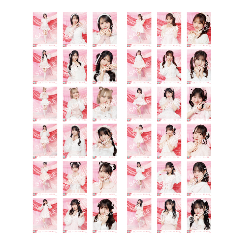 生写真セット（11thcw「きゅんかわ人生」）