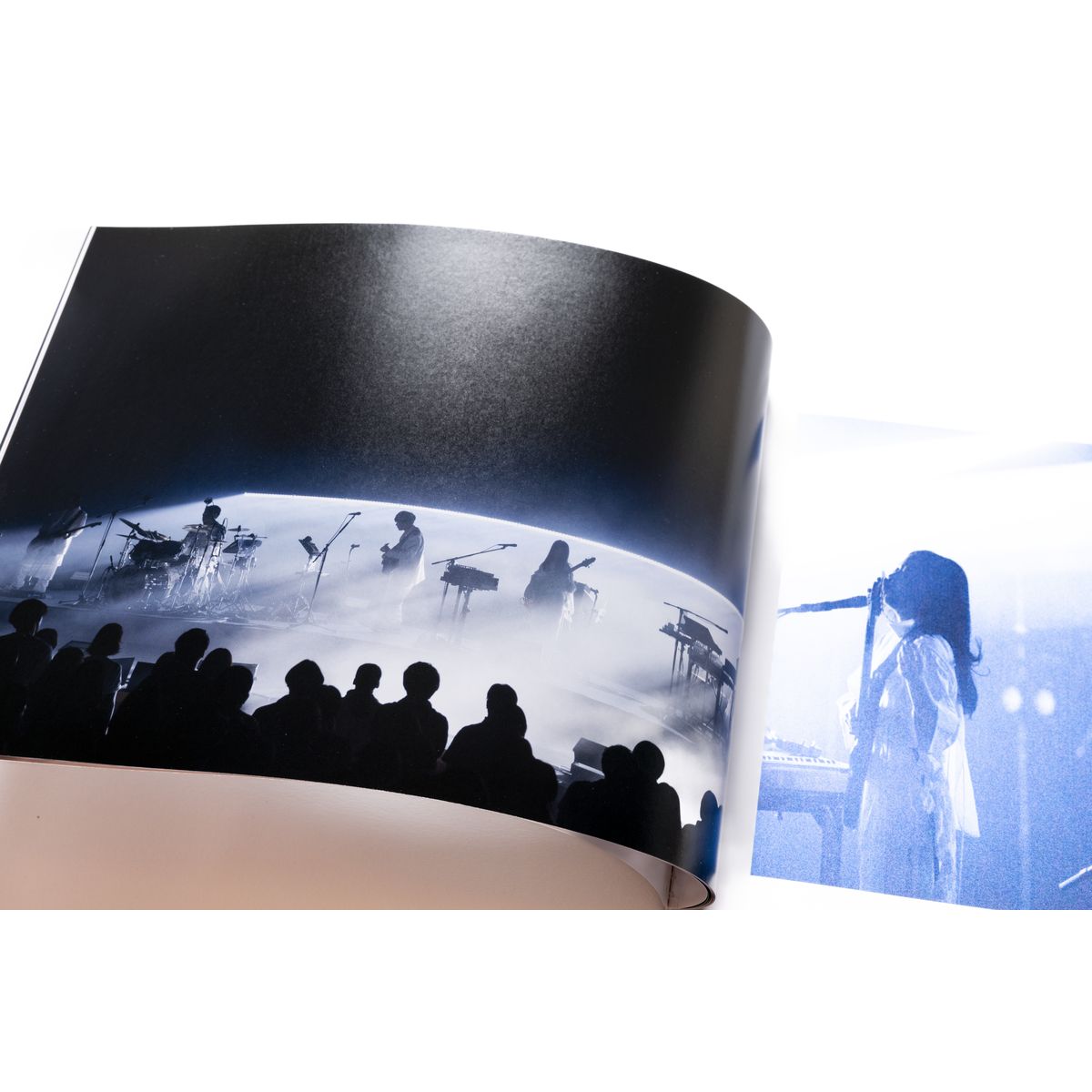 sakanaction SAKANAQUARIUM 2025 “KAIJU” PHOTOGRAPHY