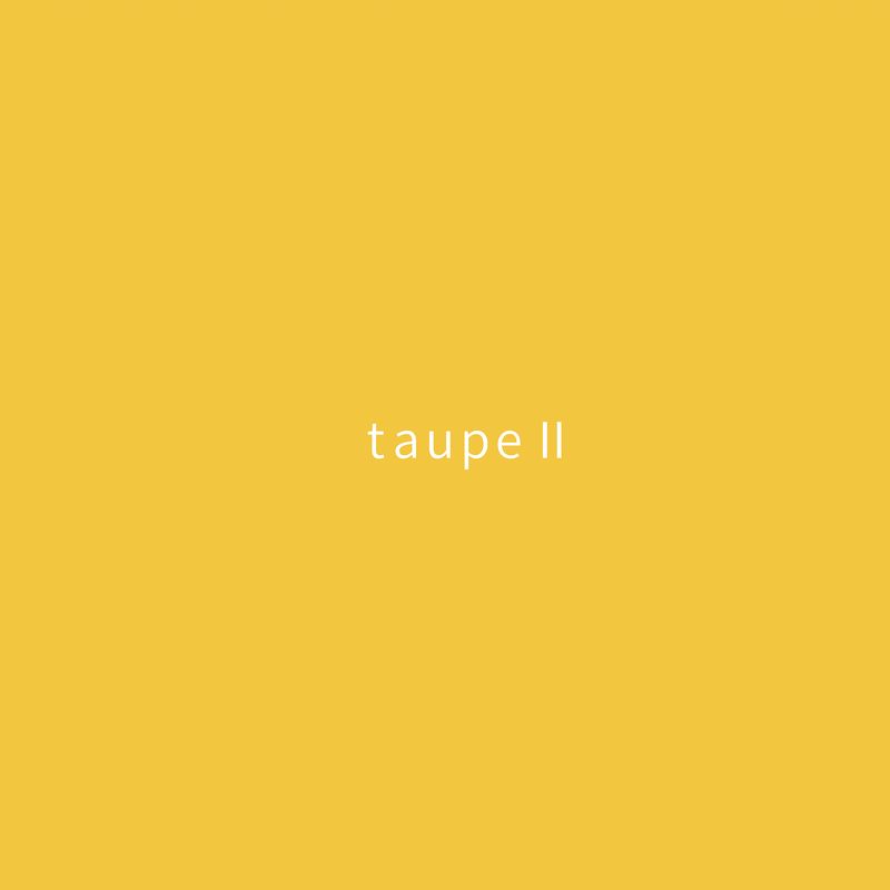 【シャイトープ】CD : 2nd mini album ”taupeⅡ”