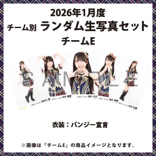 2026年1月度 チーム別ランダム生写真セット(チームE)