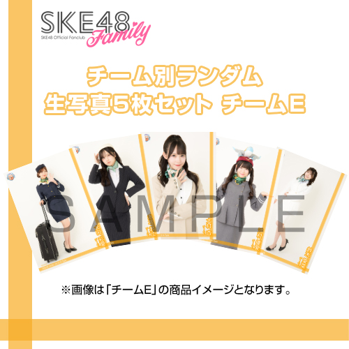 【ランダム当たり付き！】【SKE48 Family会員限定】Vol.12 A-Type チーム別ランダム生写真セット チームE