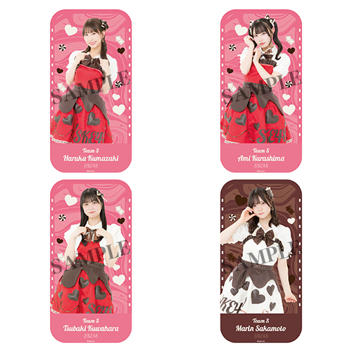 2026バレンタインペンライトポーチ(チームS)