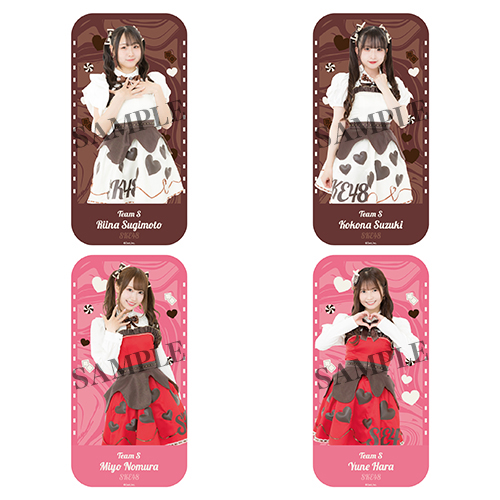 2026バレンタインペンライトポーチ(チームS)