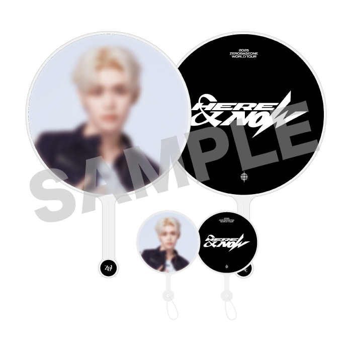 IMAGE PICKET & MINI PICKET/KIM TAE RAE