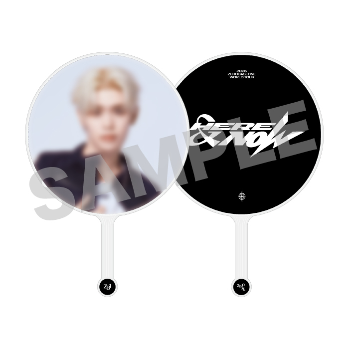 IMAGE PICKET & MINI PICKET/KIM TAE RAE