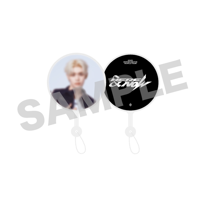 IMAGE PICKET & MINI PICKET/KIM TAE RAE