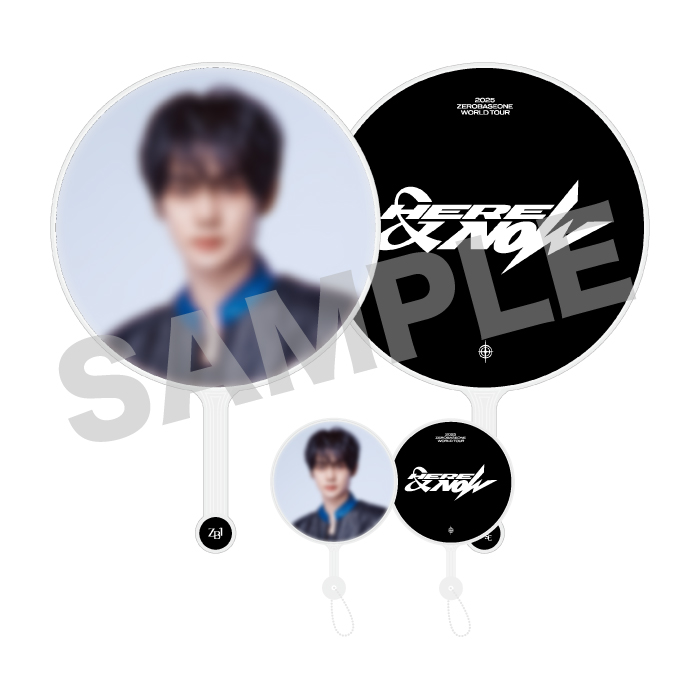 IMAGE PICKET & MINI PICKET/KIM GYU VIN