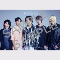 Scorebook Novelbright Selection