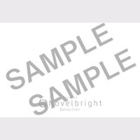 Scorebook Novelbright Selection