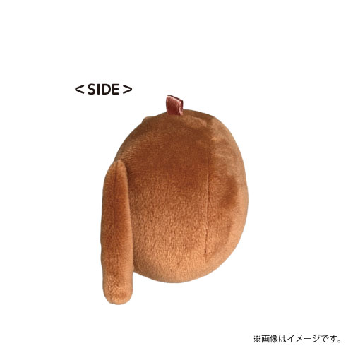 商品詳細ページ | ONLINE SHOP スタダ便 | [SUPER☆DRAGON]田中洸希