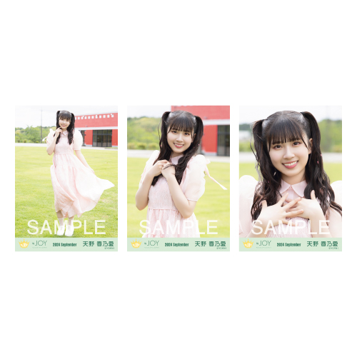 商品詳細ページ | ≒JOY OFFICIAL SHOP | 生写真セット（1stcw「夢見る