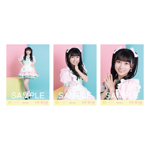 生写真セット(「イコノイジョイ 2024」衣装③)