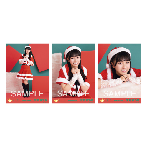 生写真セット（サンタ2024衣装）