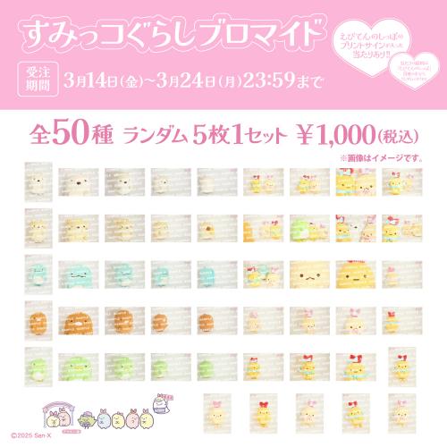 すみっコぐらしブロマイド【5枚入りランダム】