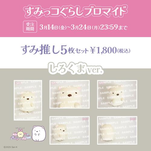 すみっコぐらしブロマイド「しろくま」【すみ推しセット】