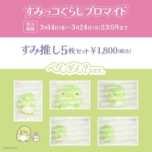 すみっコぐらしブロマイド「ぺんぎん？」【すみ推しセット】