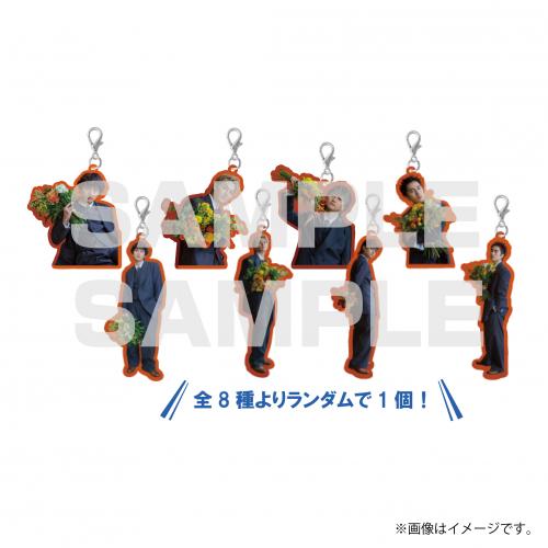 aRange Random Acrylic Charm