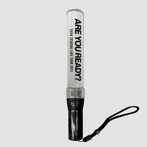 ペンライト 【ARE YOU READY?】