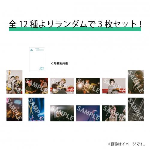 [Sakurashimeji]RANDOM LIVE PHOTO POSTCARD SET