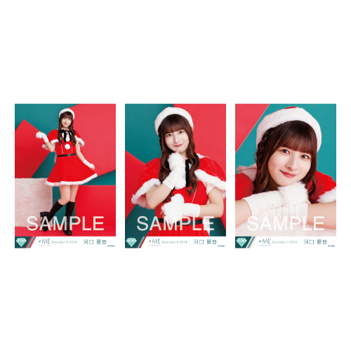 生写真セット（サンタ2024衣装）