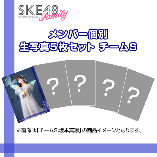【SKE48 Family会員限定】Vol.13 C-Type メンバー個別生写真セット チームS