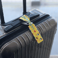 274ch.ふなのミ2018 ラゲッジネームタグ