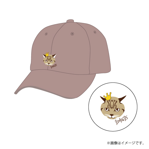 商品詳細ページ | ONLINE SHOP スタダ便 | [BUDDiiS]【FC会員限定